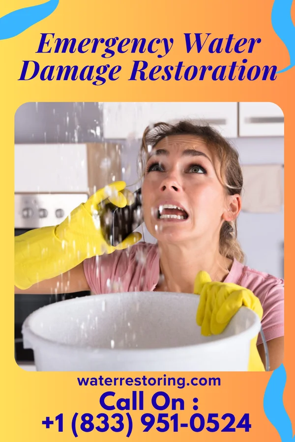 Emergency Water Damage Restoration in Tea, SD
